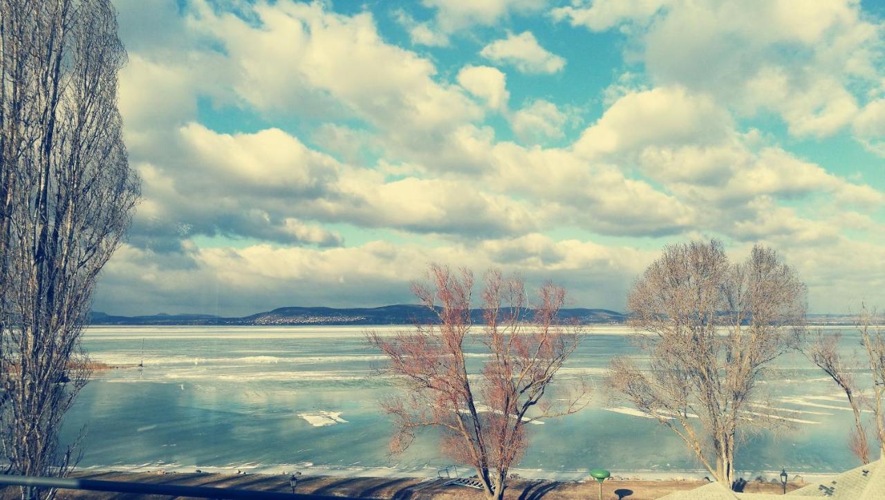 Panoramic Art Apartment With Jacuzzi Balatonlelle Extérieur photo